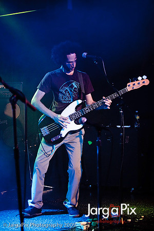 In_Musth_DonHills-11.jpg