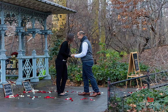 The_Heart_Bandits_Proposal_Basil_Jessica-090