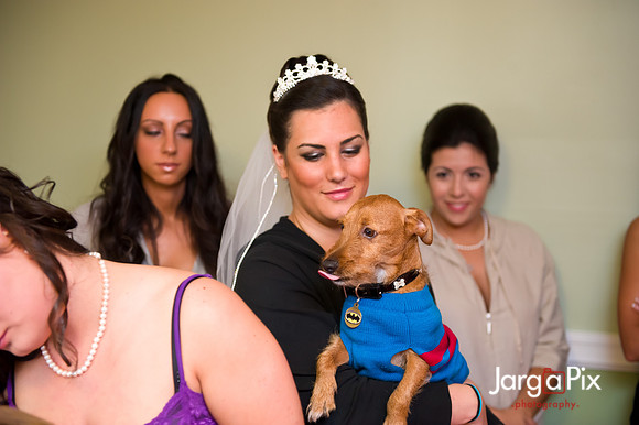 JargaPix Photography Wedding Gallery - New Jersey
