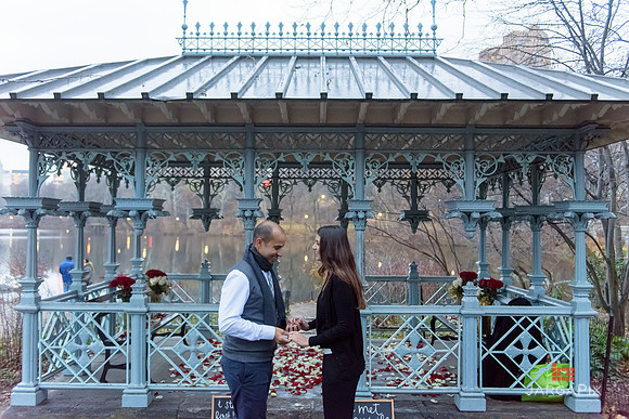 The_Heart_Bandits_Proposal_Basil_Jessica-116
