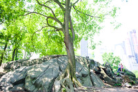 Laura_Nate_Maternity_NYC_Session-063