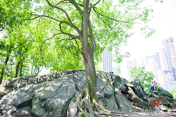 Laura_Nate_Maternity_NYC_Session-063