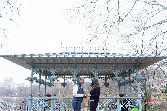 The_Heart_Bandits_Proposal_Basil_Jessica-106