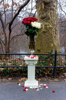 The_Heart_Bandits_Proposal_Basil_Jessica-013