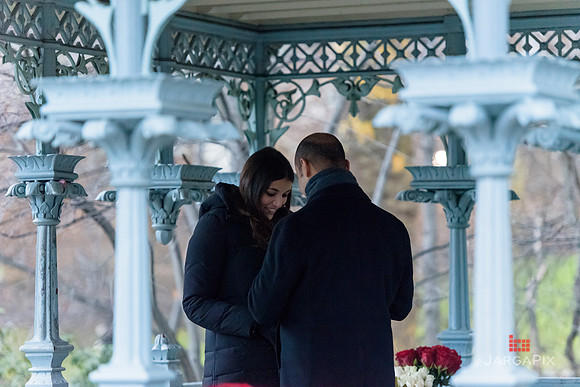 The_Heart_Bandits_Proposal_Basil_Jessica-048