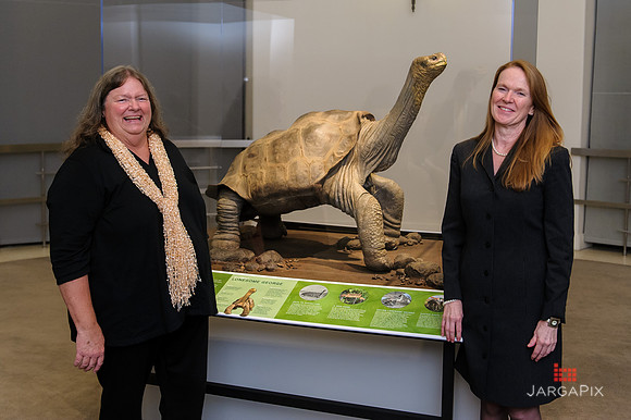 Galapagos_Conservancy_AMONH_Lonesome_George