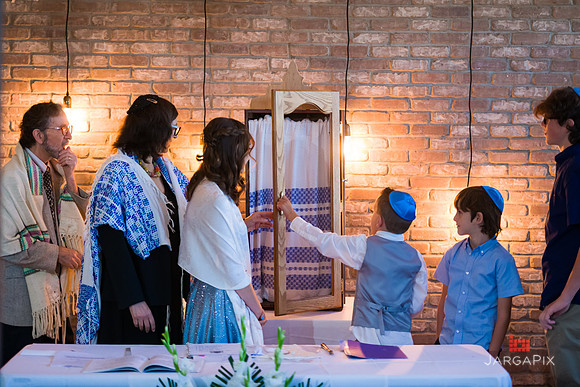 Maya_Batmitzvah_Preview-005