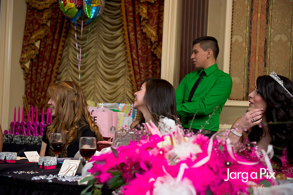 Janessa_Sweet16_Party-0413