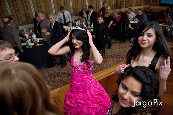 Janessa_Sweet16_Party-0310