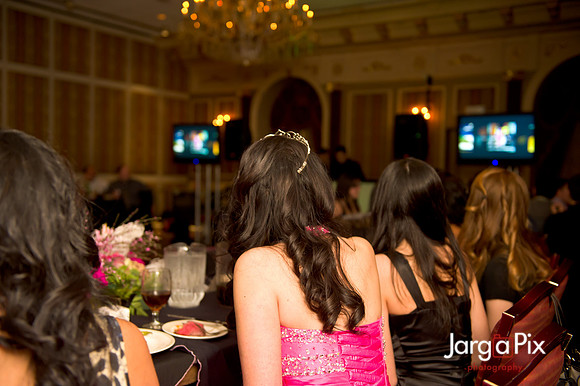 Janessa_Sweet16_Party-0406