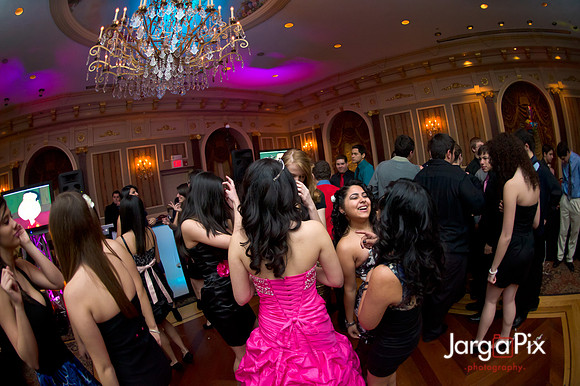 Janessa_Sweet16_Party-0353