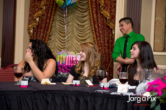 Janessa_Sweet16_Party-0425