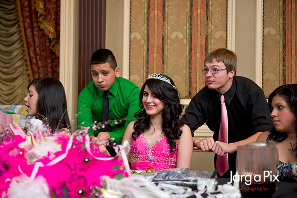 Janessa_Sweet16_Party-0409