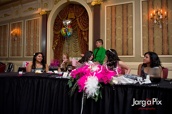 Janessa_Sweet16_Party-0411