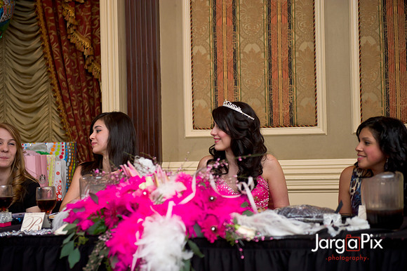Janessa_Sweet16_Party-0402