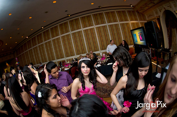 Janessa_Sweet16_Party-0962