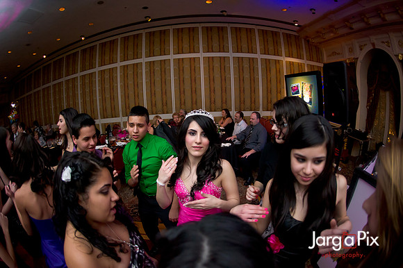 Janessa_Sweet16_Party-0959