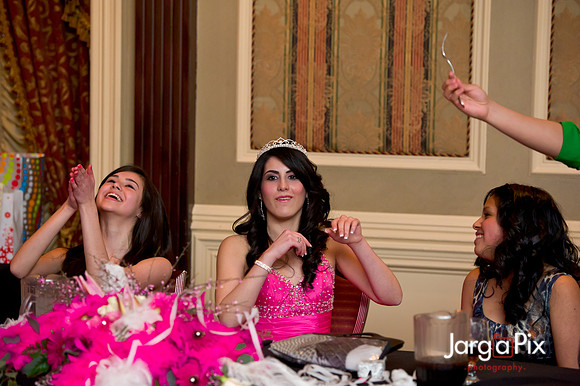 Janessa_Sweet16_Party-0470