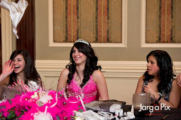 Janessa_Sweet16_Party-0463