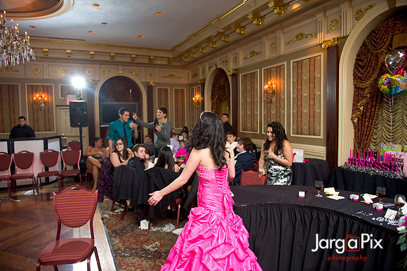 Janessa_Sweet16_Party-0506