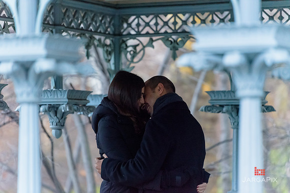 The_Heart_Bandits_Proposal_Basil_Jessica-050