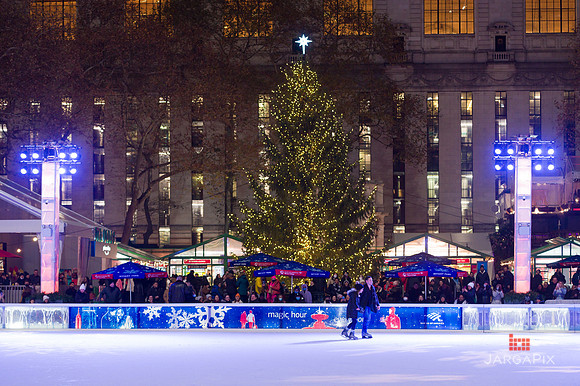 Sean_Adrienne_Proposal_Bryant_Park-04