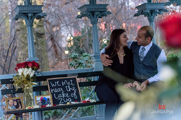 The_Heart_Bandits_Proposal_Basil_Jessica-133