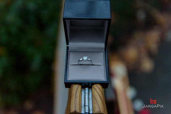 The_Heart_Bandits_Proposal_Basil_Jessica-142