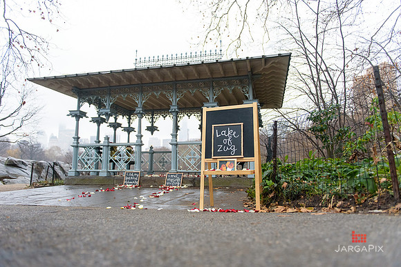 The_Heart_Bandits_Proposal_Basil_Jessica-019