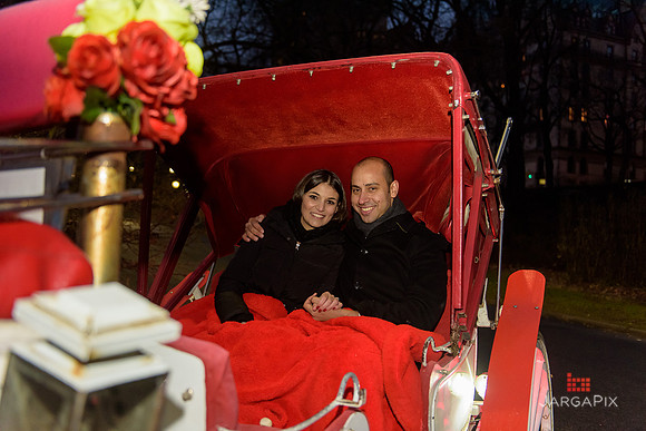 The_Heart_Bandits_Proposal_Basil_Jessica-147