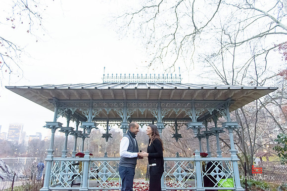 The_Heart_Bandits_Proposal_Basil_Jessica-108