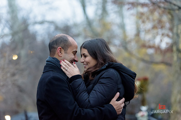 The_Heart_Bandits_Proposal_Basil_Jessica-083