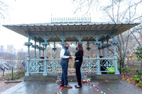 The_Heart_Bandits_Proposal_Basil_Jessica-104