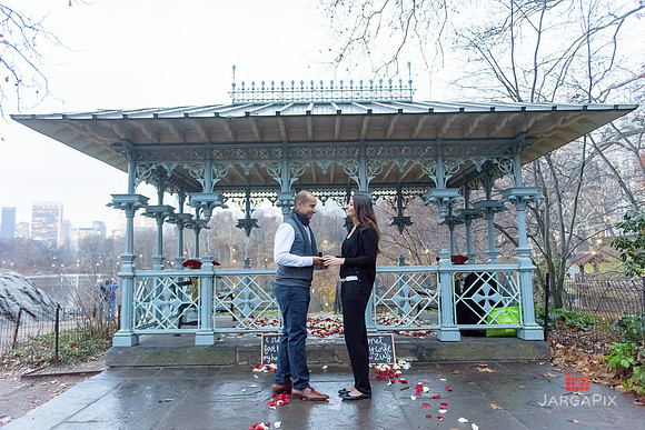 The_Heart_Bandits_Proposal_Basil_Jessica-104