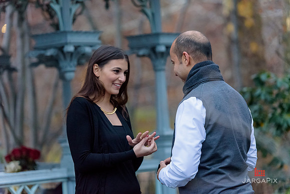 The_Heart_Bandits_Proposal_Basil_Jessica-102