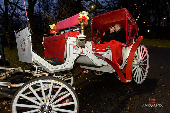 The_Heart_Bandits_Proposal_Basil_Jessica-146
