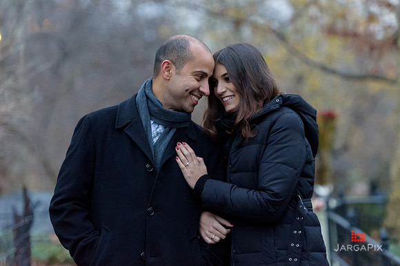 The_Heart_Bandits_Proposal_Basil_Jessica-073