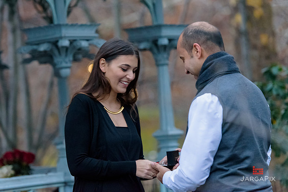 The_Heart_Bandits_Proposal_Basil_Jessica-097
