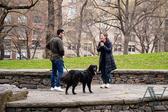 Kat_Nash_Proposal-01