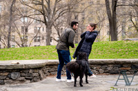 Kat_Nash_Proposal-02