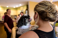 A_Celebs_Wedding_Berkely_Plaza_4-30-2016_0005