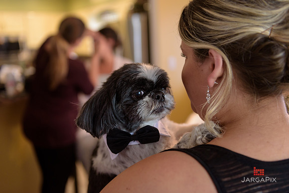A_Celebs_Wedding_Berkely_Plaza_4-30-2016_0006