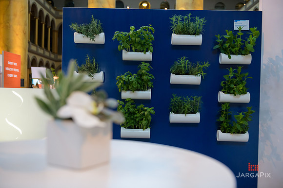 Soho_Citi_TOTN_DC_2019-015