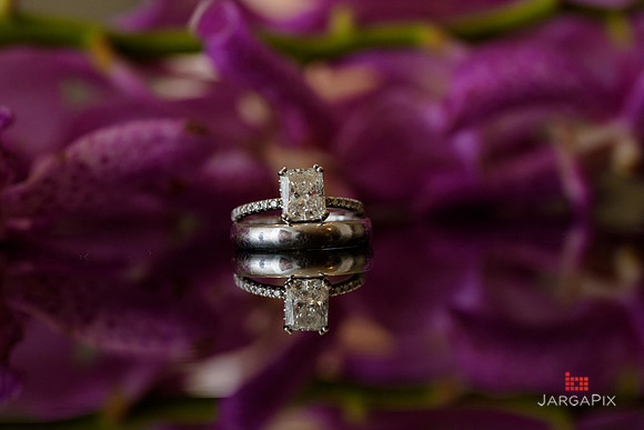 Ana_Mark_Wedding-186