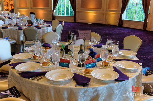 Shelter_our_Sisters_Gala_2013-004
