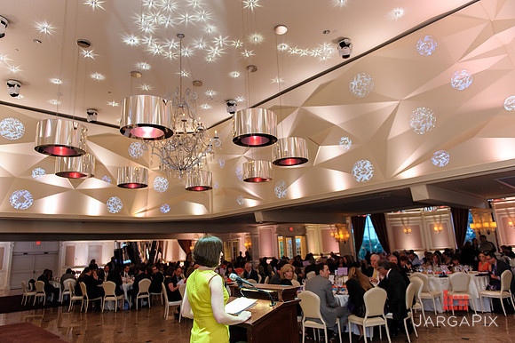 Shelter_our_Sisters_Gala_2013-025