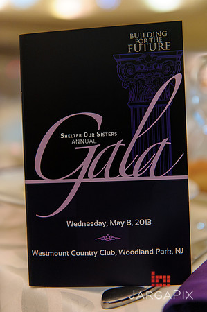 Shelter_our_Sisters_Gala_2013-010