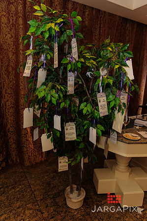 Shelter_our_Sisters_Gala_2013-015