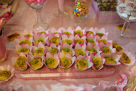 Sophia_Rabah_1st Birthday-011