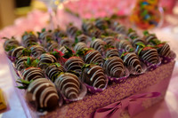 Sophia_Rabah_1st Birthday-009